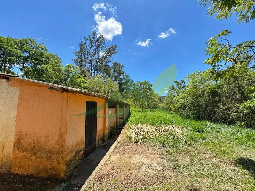 Sítio, 8 quartos, 5 hectares - Foto 3