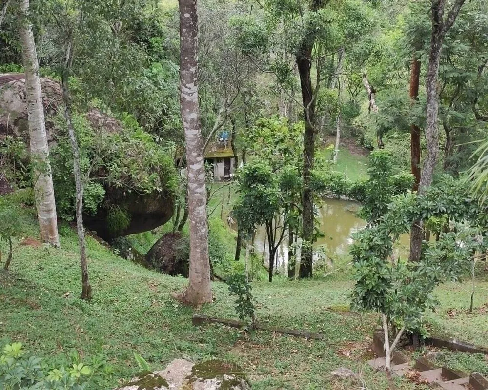 Terreno - Foto 8