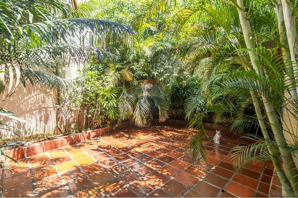 Casa, 4 quartos, 202 m² - Foto 7