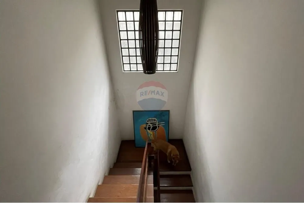 Casa, 4 quartos, 282 m² - Foto 8