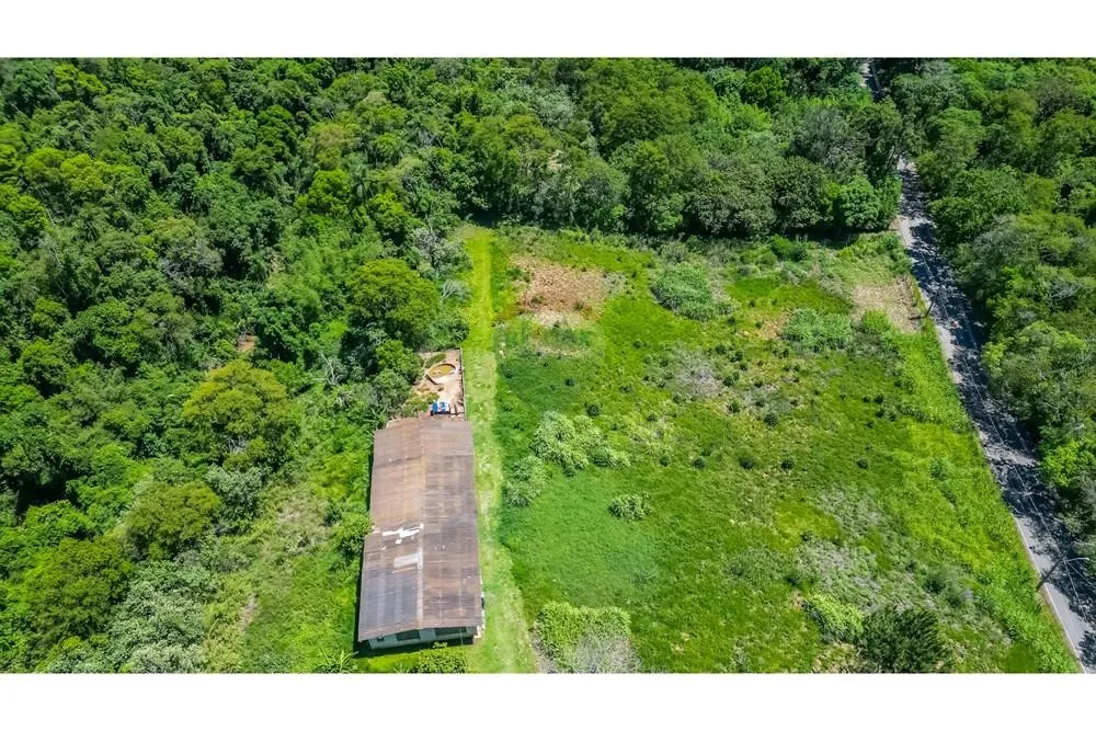 Sítio, 4 quartos, 7 hectares - Foto 1