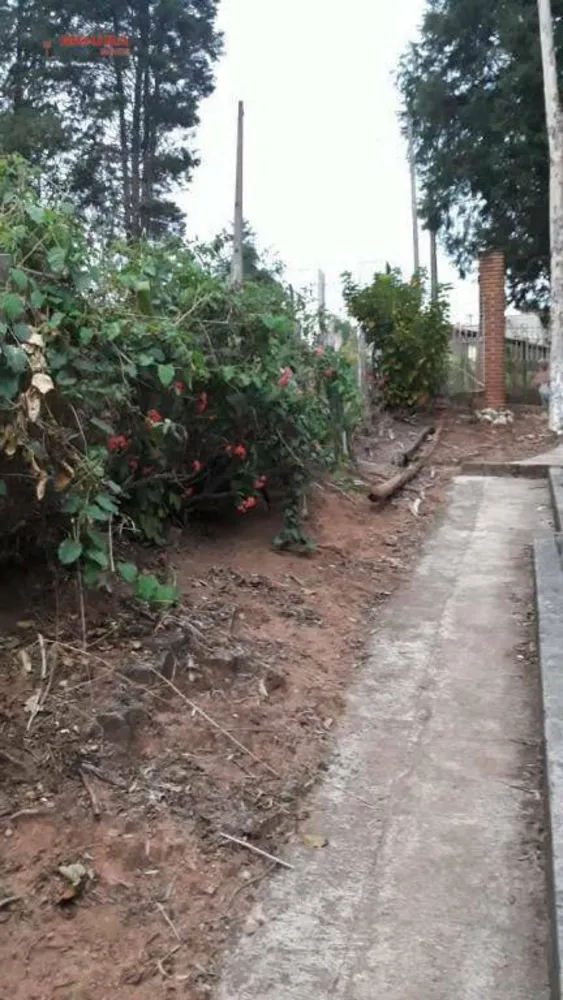 Chácara, 4 quartos, 9665 m² - Foto 10
