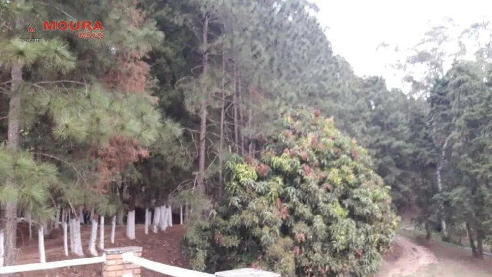 Chácara, 4 quartos, 9665 m² - Foto 16