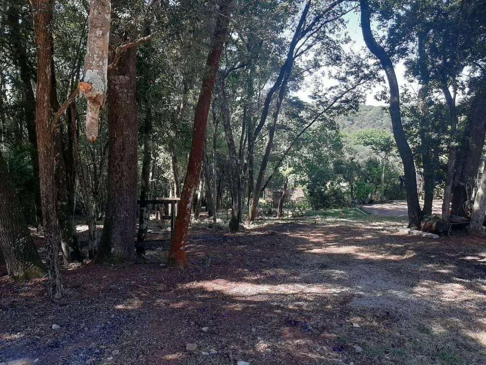 Terreno, 1560 m² - Foto 1
