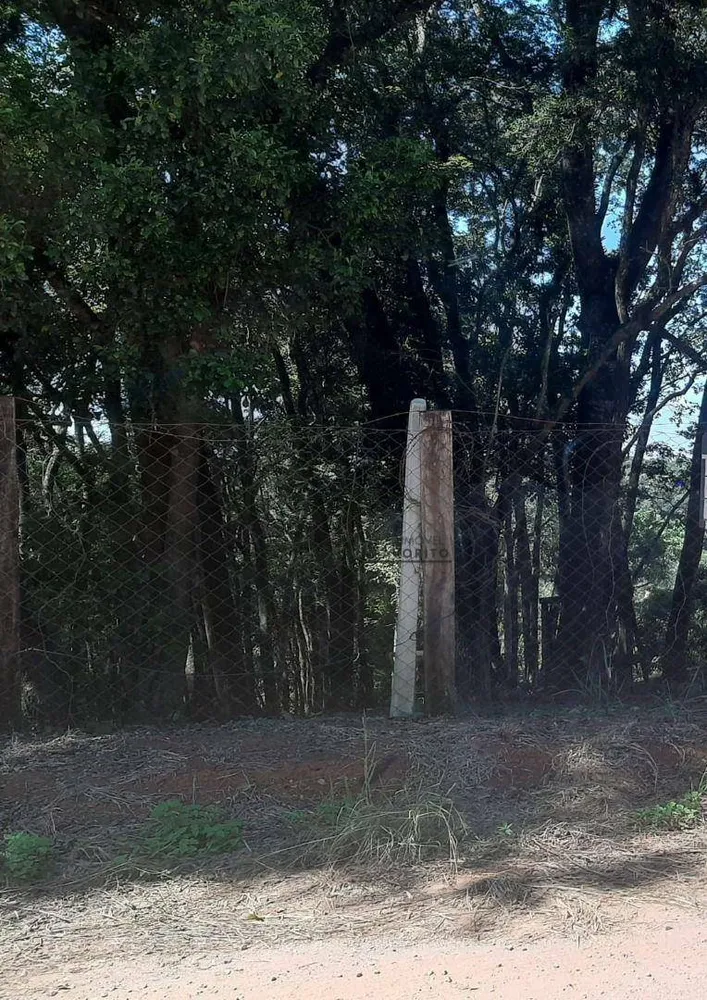 Terreno, 1560 m² - Foto 2