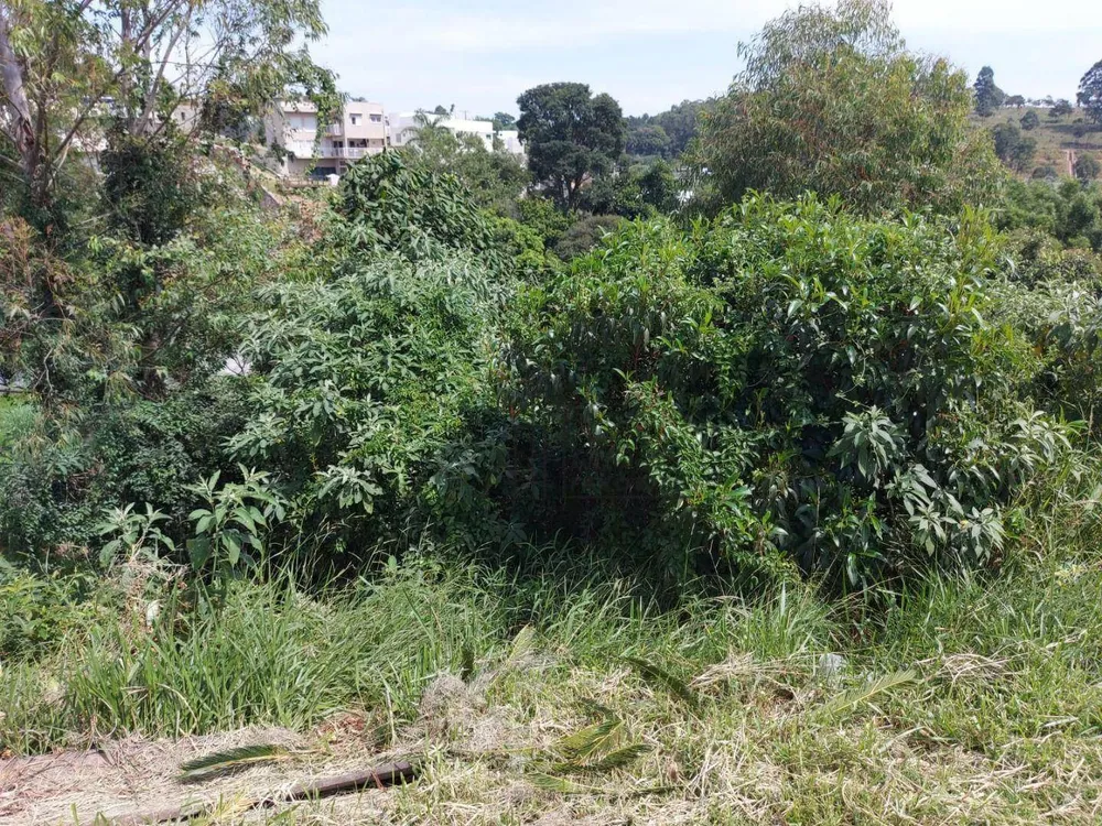 Loteamento e Condomínio, 1273 m² - Foto 3
