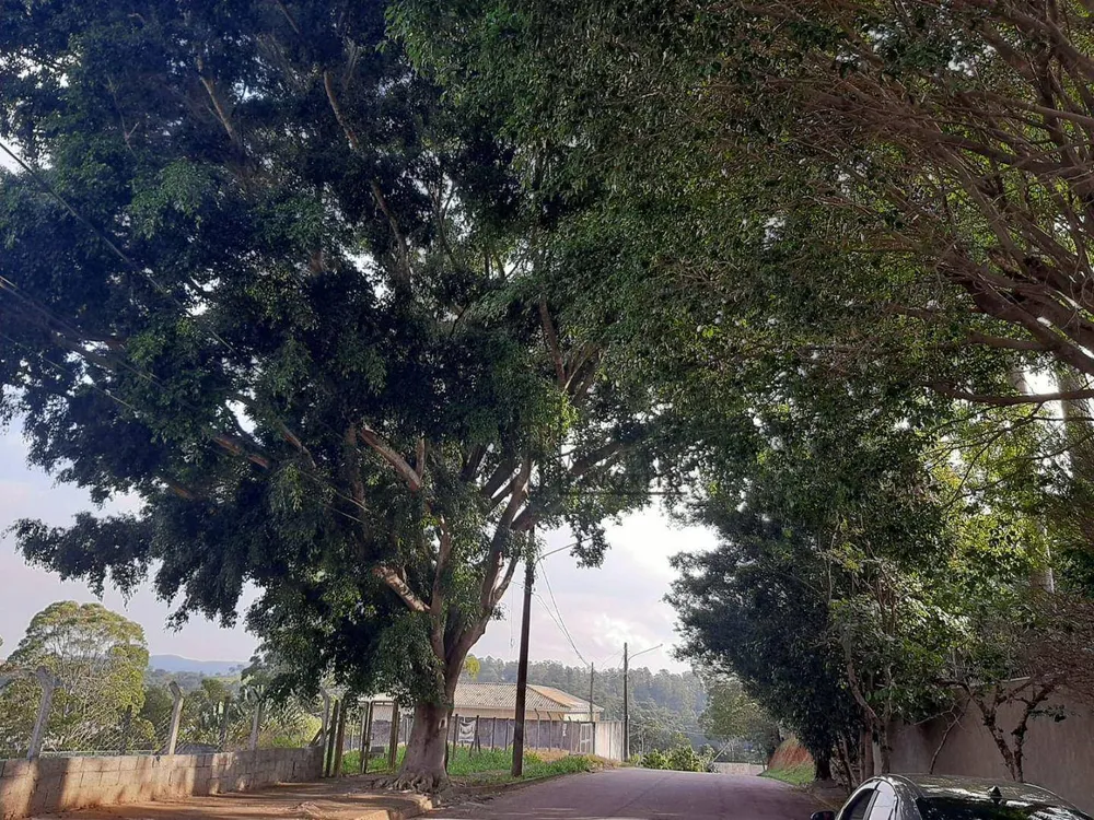 Terreno, 400 m² - Foto 4