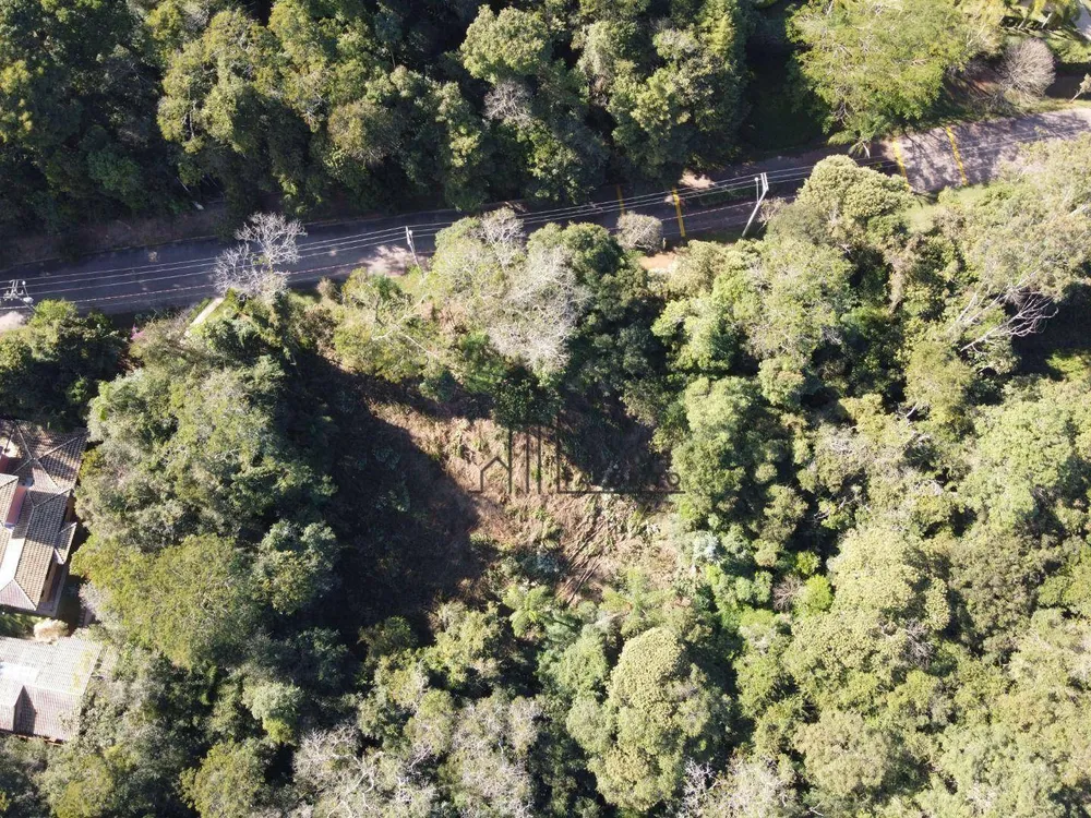 Loteamento e Condomínio, 5600 m² - Foto 3