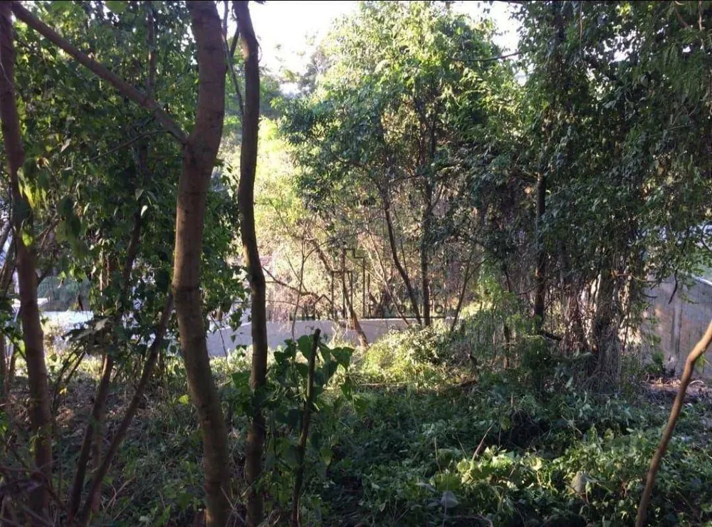 Loteamento e Condomínio, 1743 m² - Foto 2