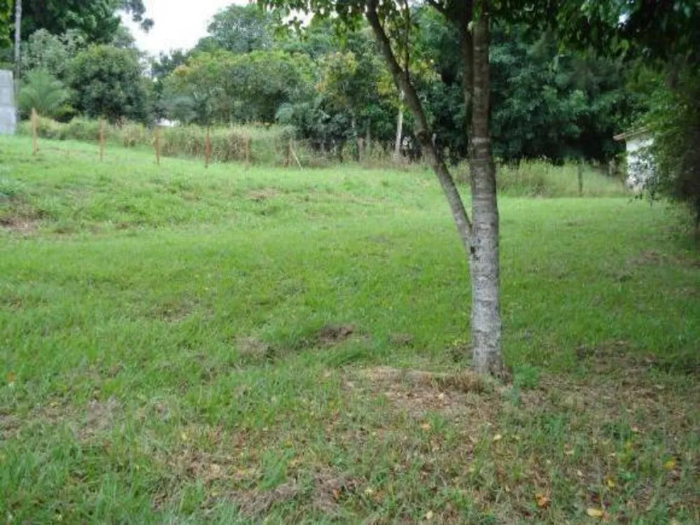 Terreno, 715 m² - Foto 4