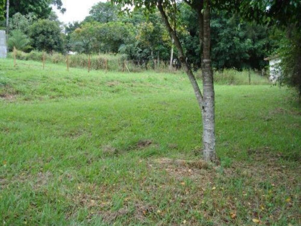 Terreno à venda, 600m² - Foto 2