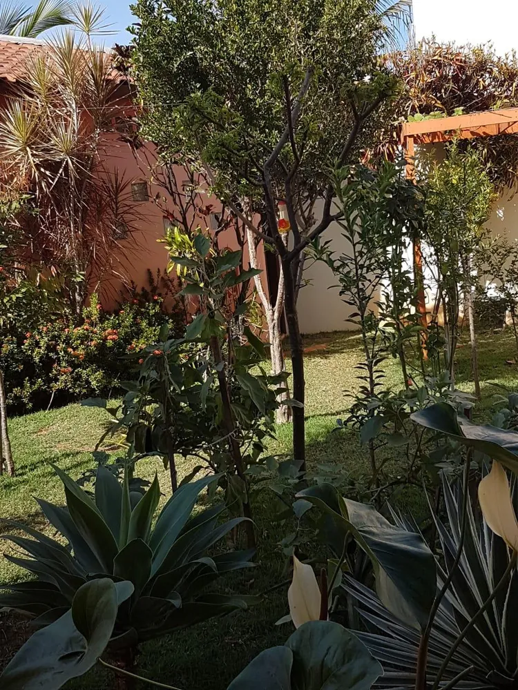 Casa, 2 quartos, 250 m² - Foto 3