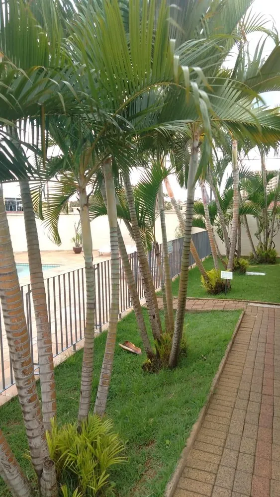 Apartamento, 3 quartos - Foto 1