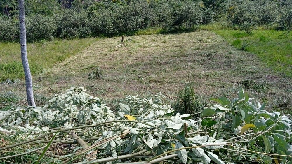 Terreno, 1120 m² - Foto 2