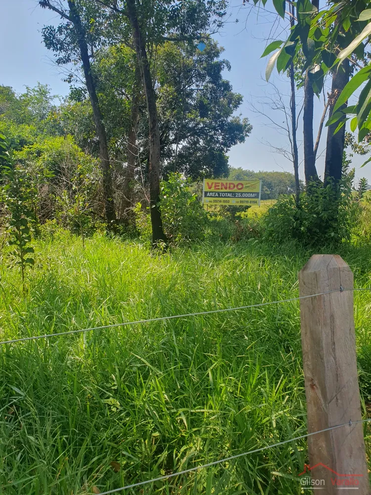 Terreno, 3 hectares - Foto 8