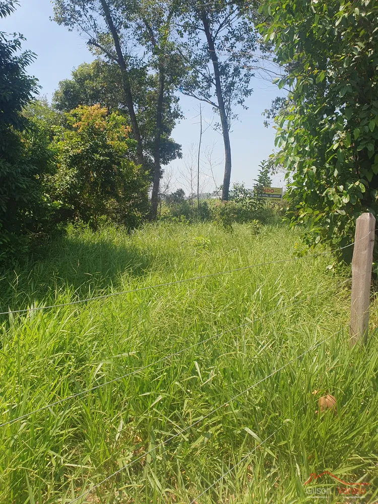 Terreno, 3 hectares - Foto 4