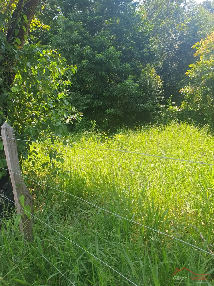 Terreno, 3 hectares - Foto 6