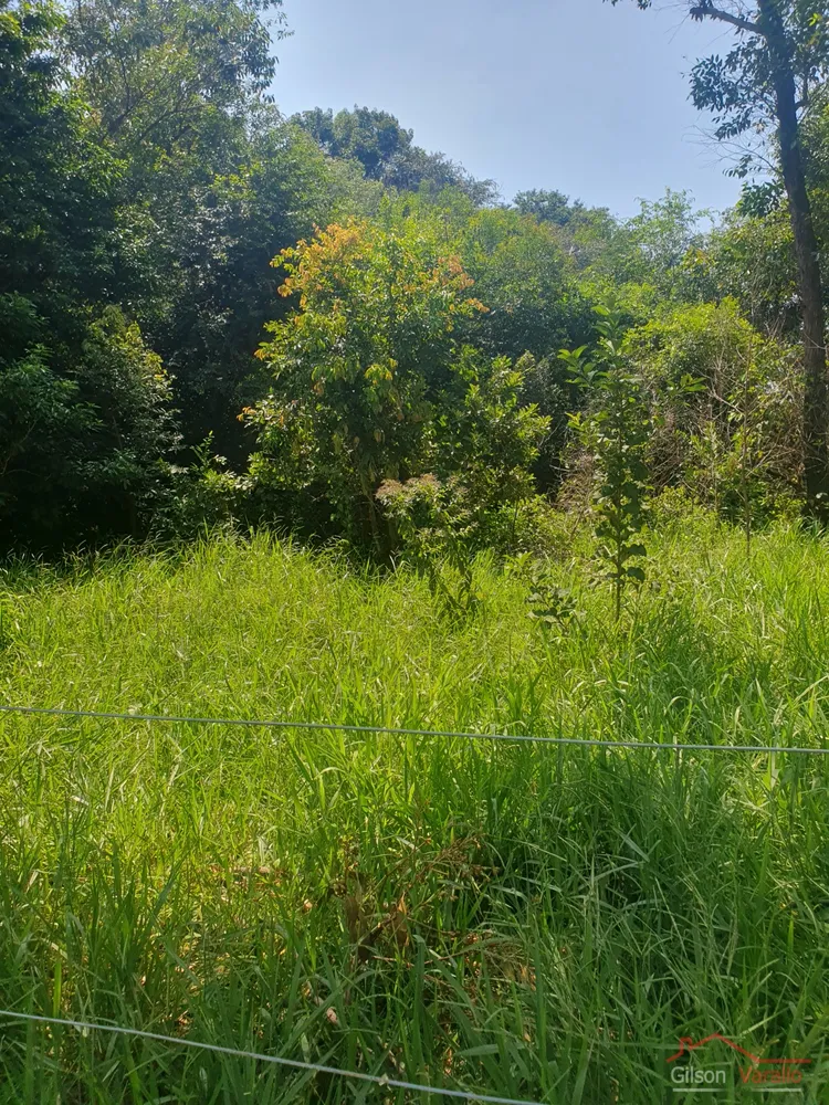 Terreno, 3 hectares - Foto 7