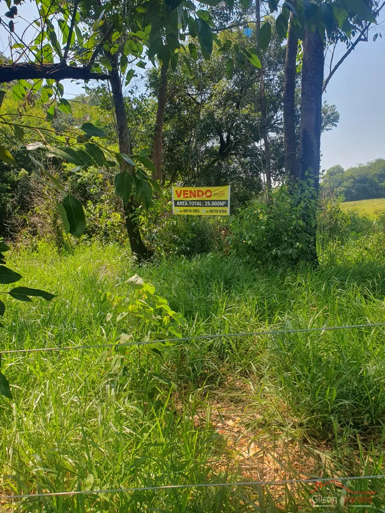 Terreno, 3 hectares - Foto 1