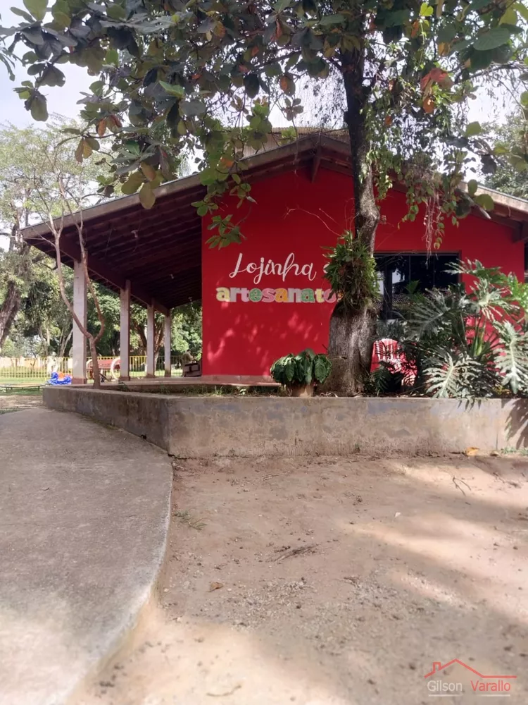 Terreno, 1256 hectares - Foto 7