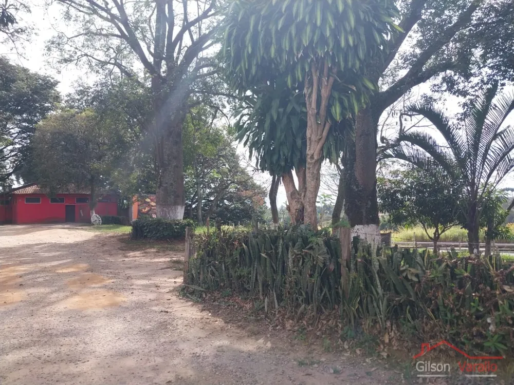 Terreno, 1256 hectares - Foto 1