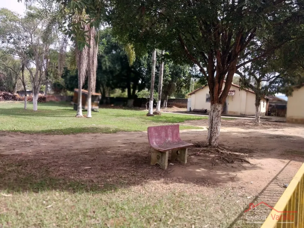 Terreno, 1256 hectares - Foto 3