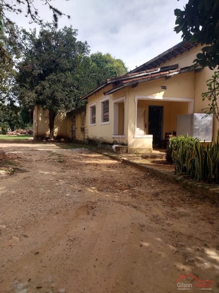 Terreno, 1256 hectares - Foto 8