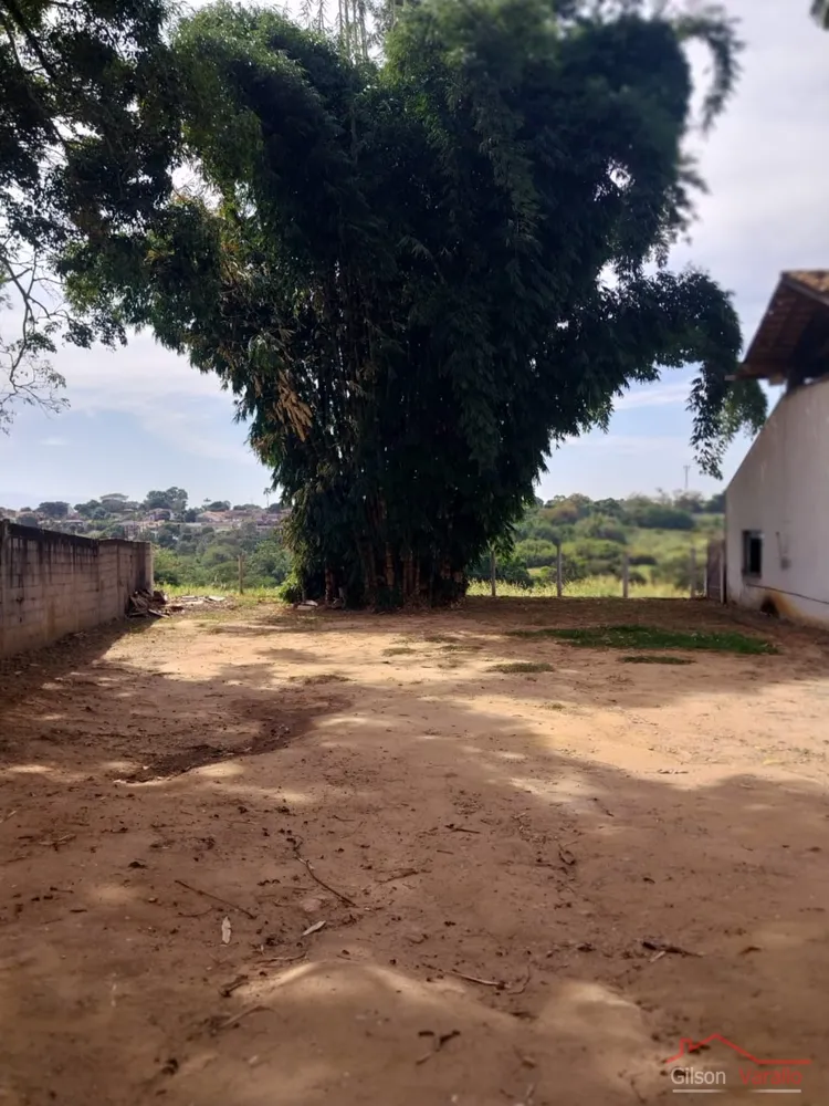 Terreno, 1256 hectares - Foto 2