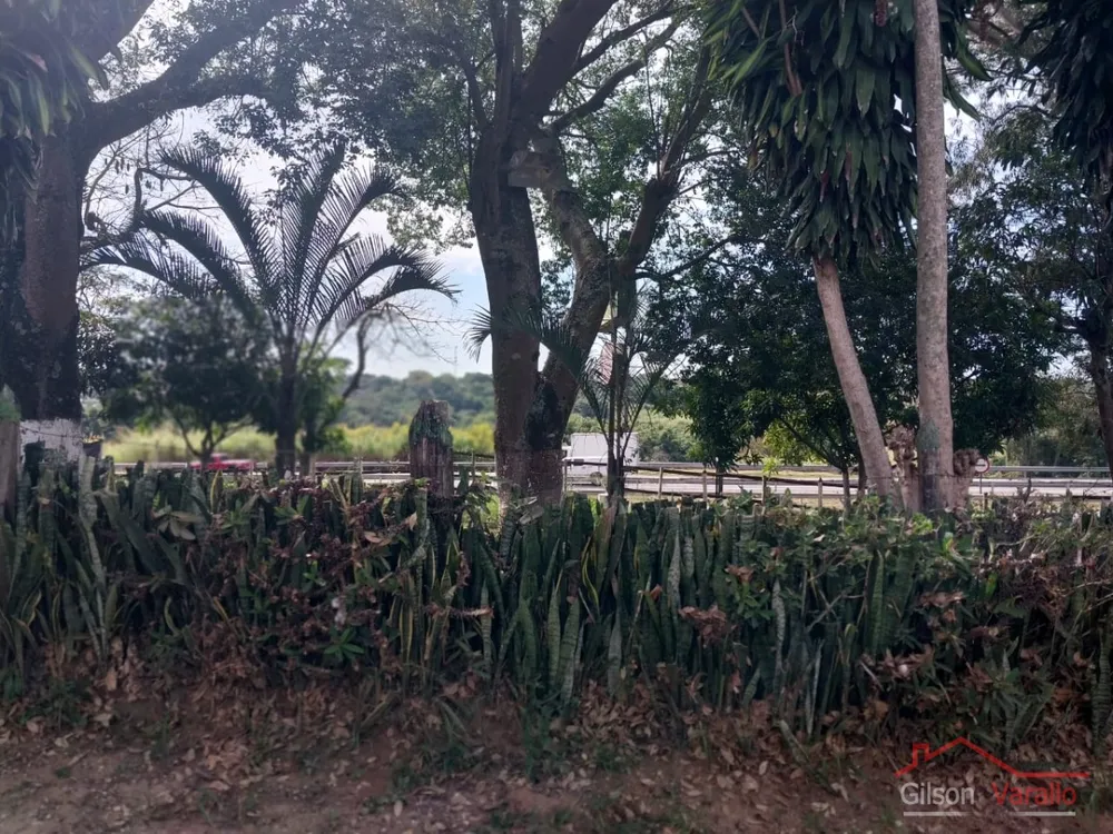 Terreno, 1256 hectares - Foto 4