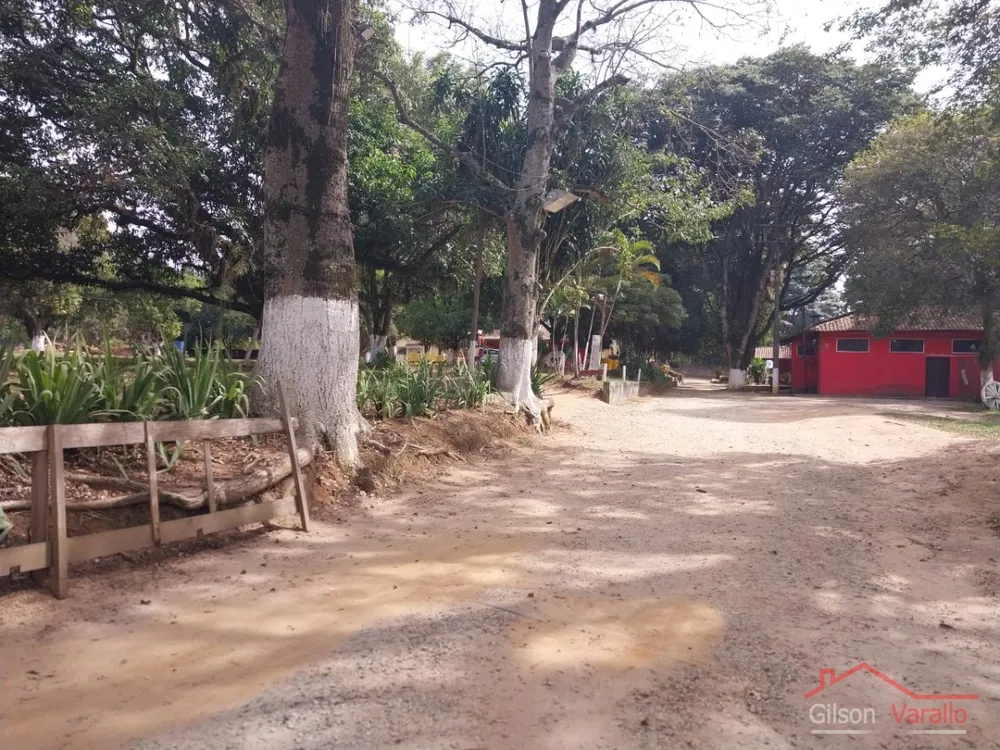 Terreno, 1256 hectares - Foto 18