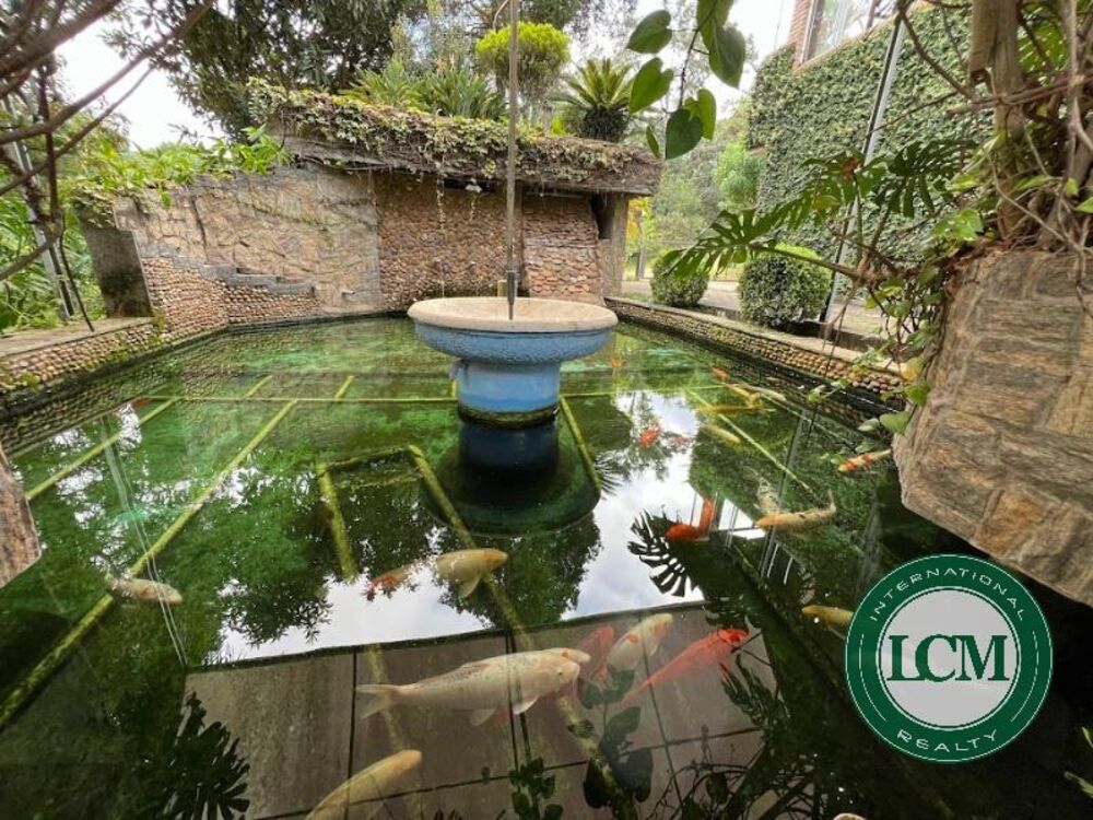 Casa, 3 quartos, 377 m² - Foto 4