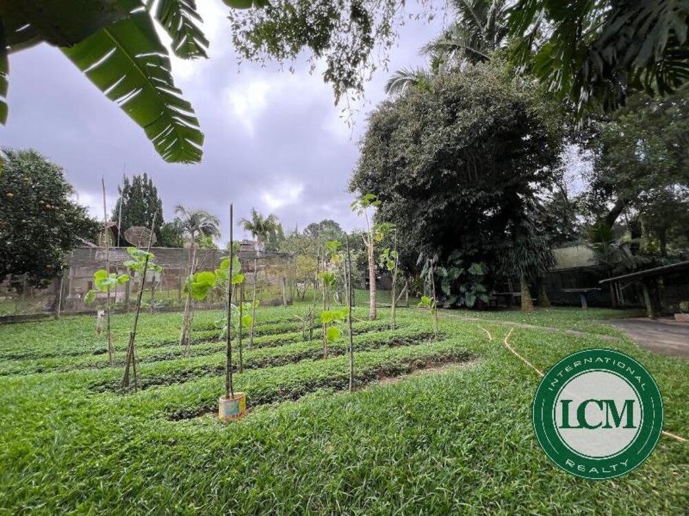 Terreno à venda, 1500m² - Foto 9