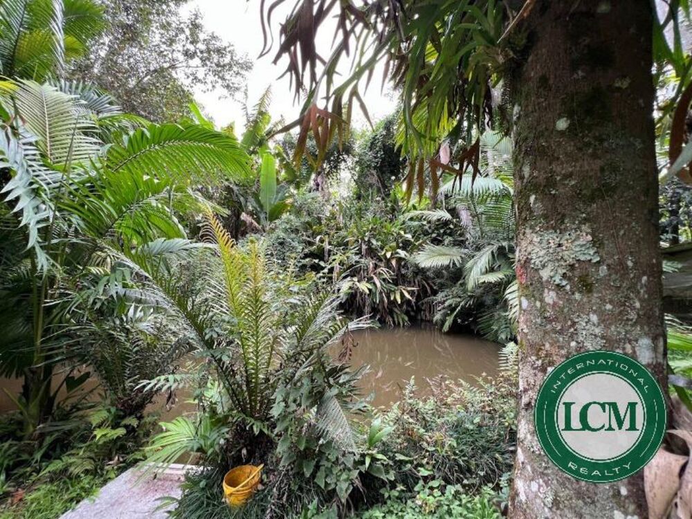 Terreno à venda, 1500m² - Foto 18
