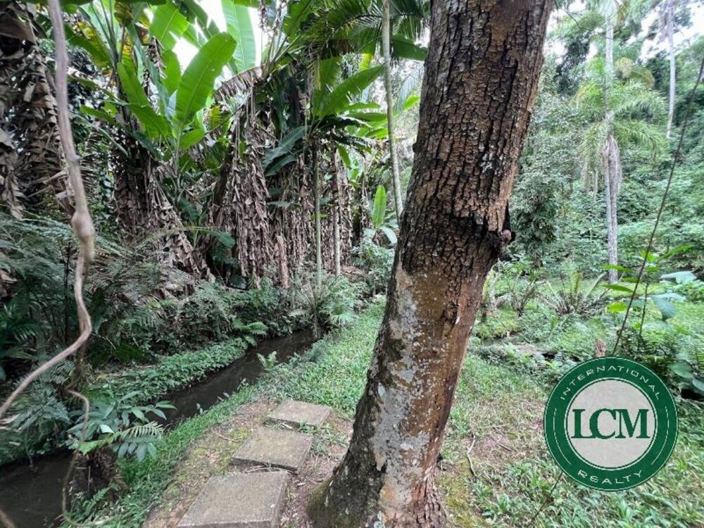 Terreno à venda, 1500m² - Foto 16