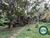 Terreno, 1500 m² - Foto 14