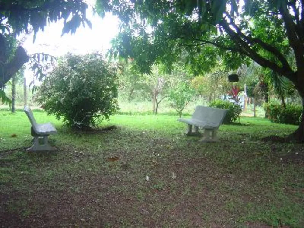 Chácara - Foto 1