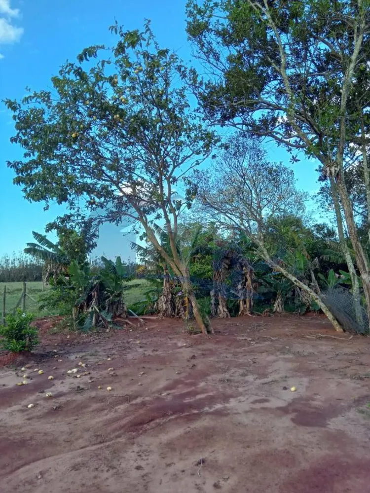 Casa, 2 quartos, 60 m² - Foto 4