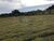 Terreno, 12 hectares - Foto 4
