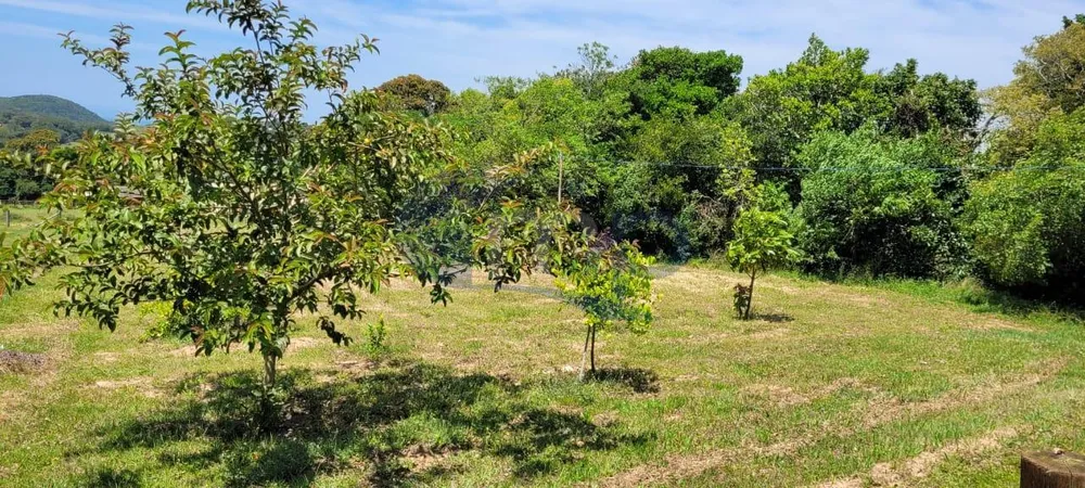 Sítio, 3000 m² - Foto 6