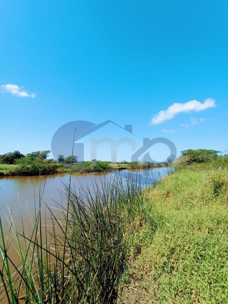 Chácara à venda, 4800m² - Foto 3