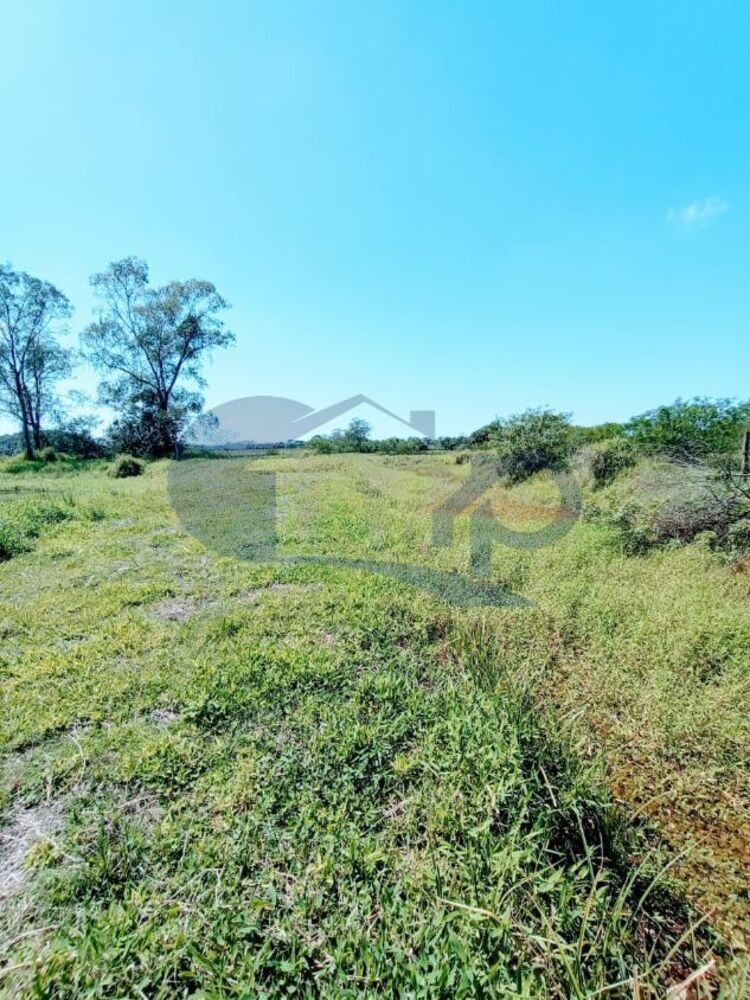 Chácara à venda, 4800m² - Foto 14