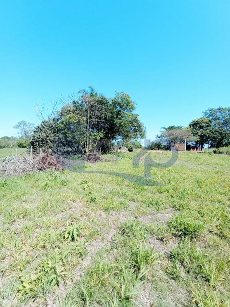 Chácara à venda, 4800m² - Foto 15