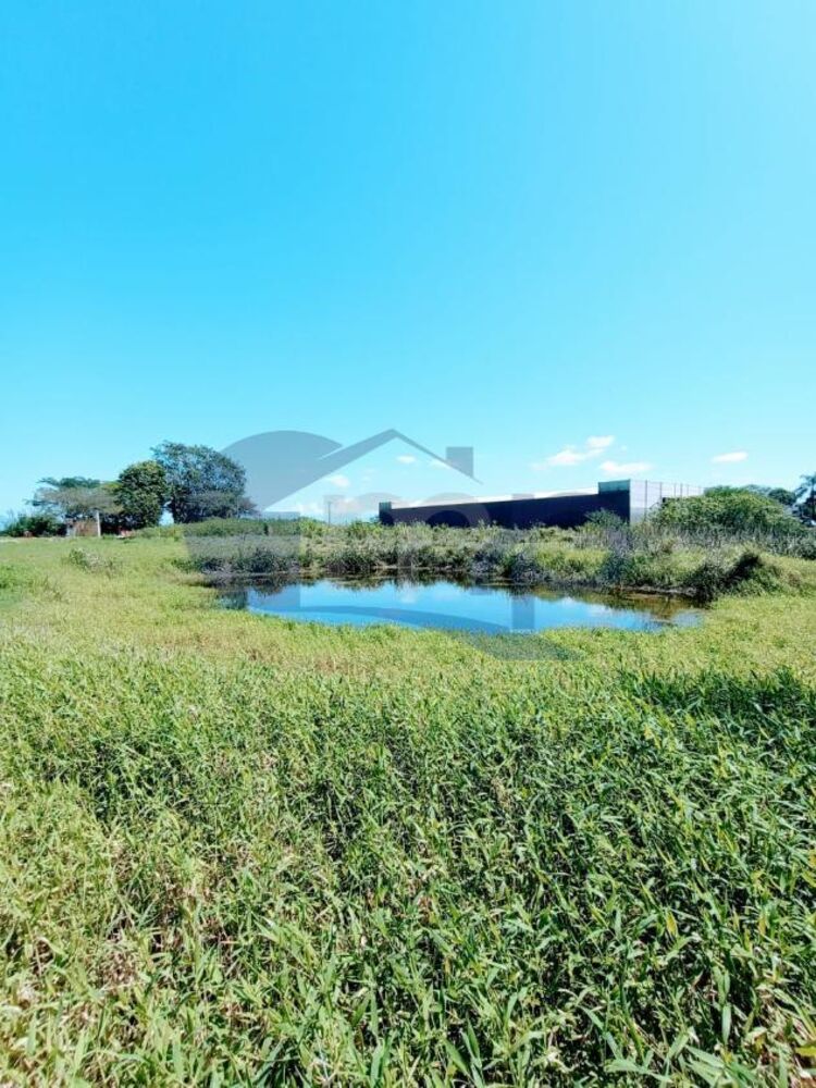 Chácara à venda, 4800m² - Foto 17