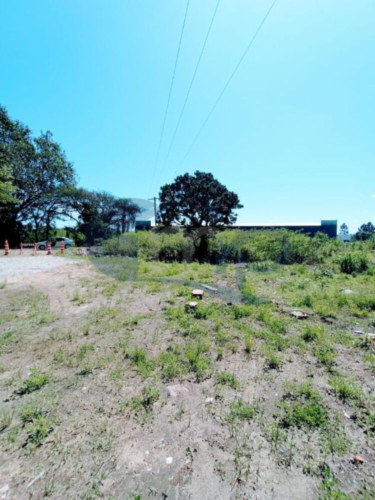 Chácara à venda, 4800m² - Foto 5