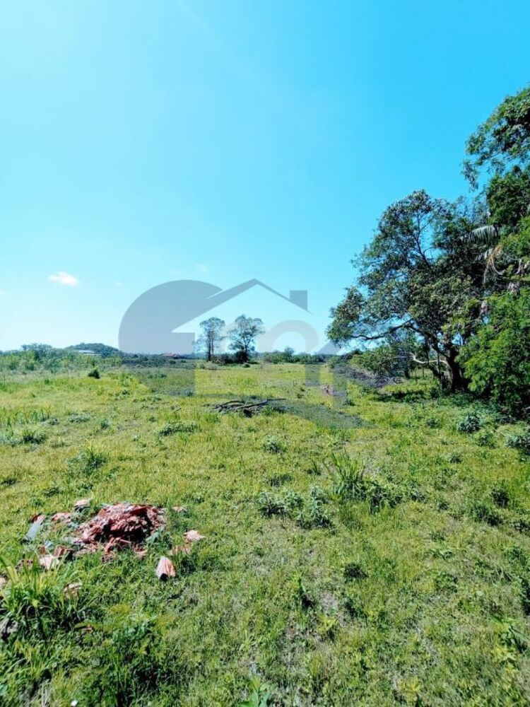Chácara à venda, 4800m² - Foto 8