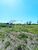 Chácara, 4800 m² - Foto 10