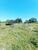 Chácara, 4800 m² - Foto 13