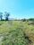 Chácara, 4800 m² - Foto 14