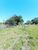 Chácara, 4800 m² - Foto 15