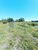 Chácara, 4800 m² - Foto 16